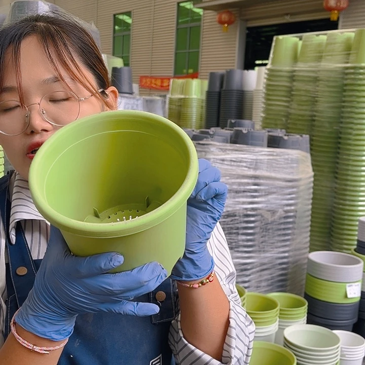 四季盆2#果绿色10个无托