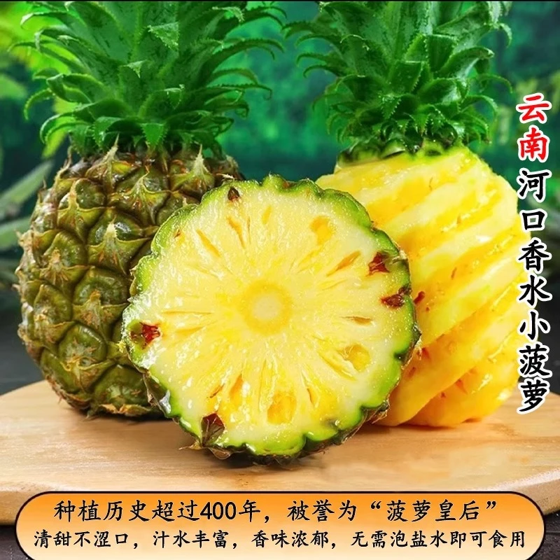 【酸甜可口】云南当季新鲜酸甜可口香水菠萝新鲜当季水果香水小菠萝