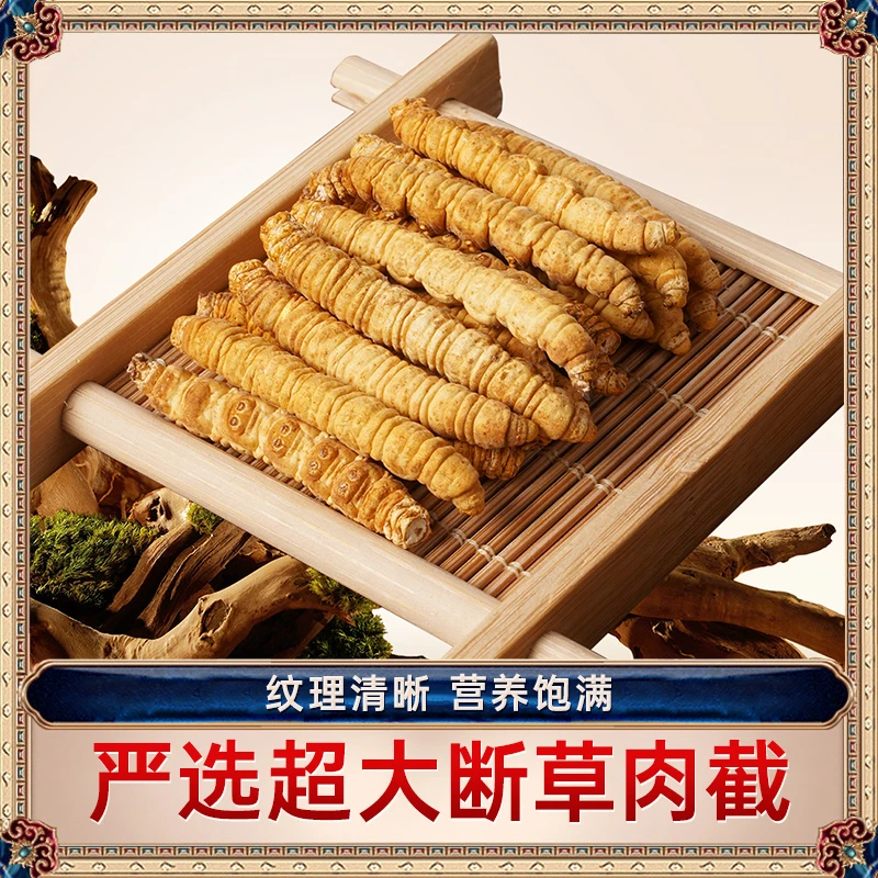 【严选虫草】全虫肉截断草-24年新干断草甄选优质佳品冬虫夏草
