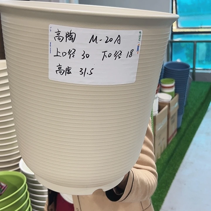 正品高陶口30高31混色无托3只
