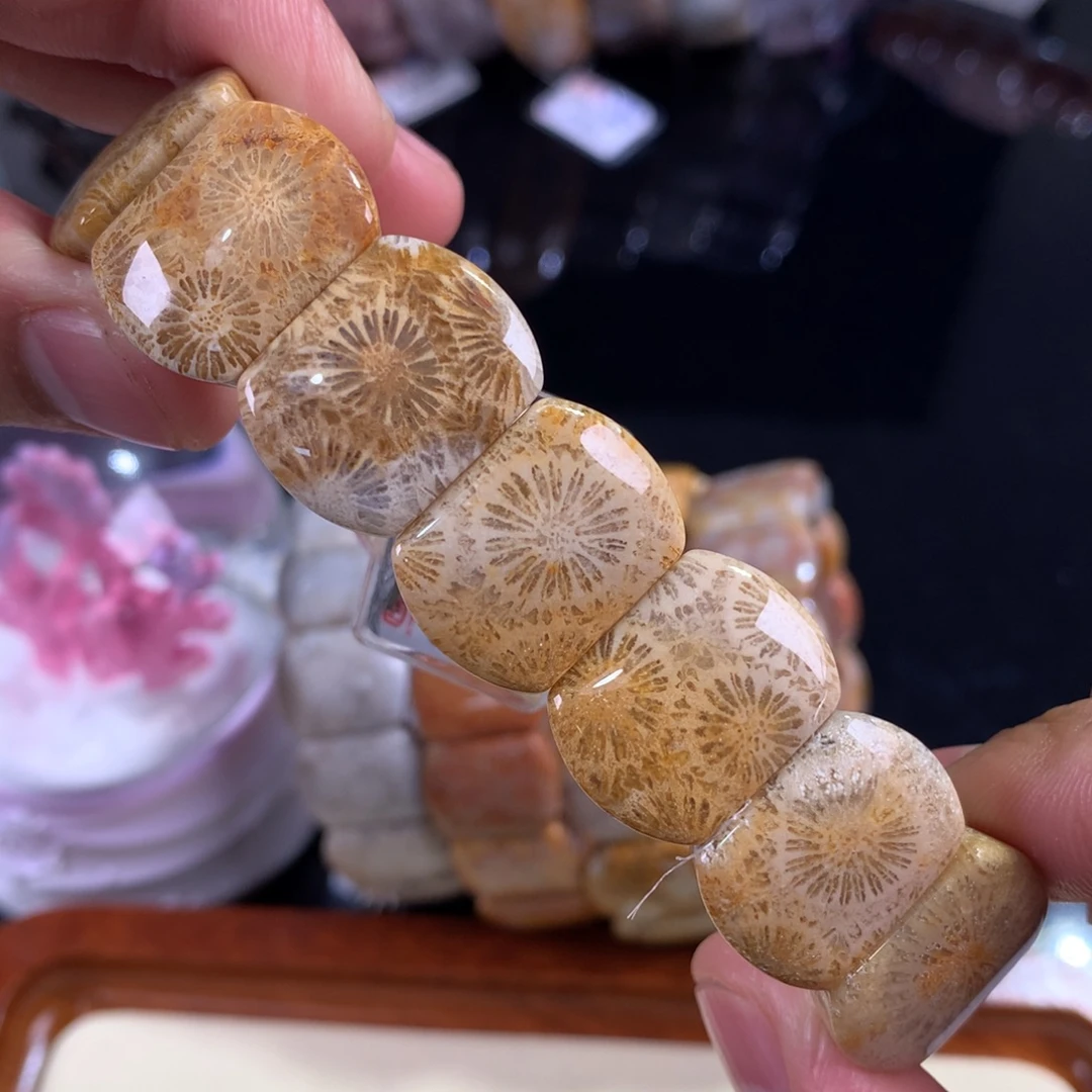 硅化珊瑚（珊瑚玉）未镶嵌吊坠(赠链)68号全满大花花
