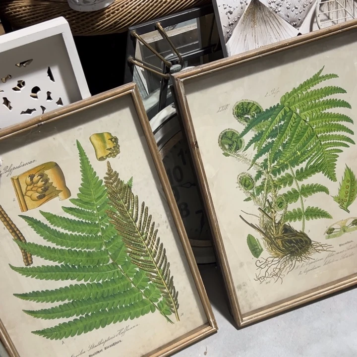 50.70一对外贸孤品 默认瑕疵