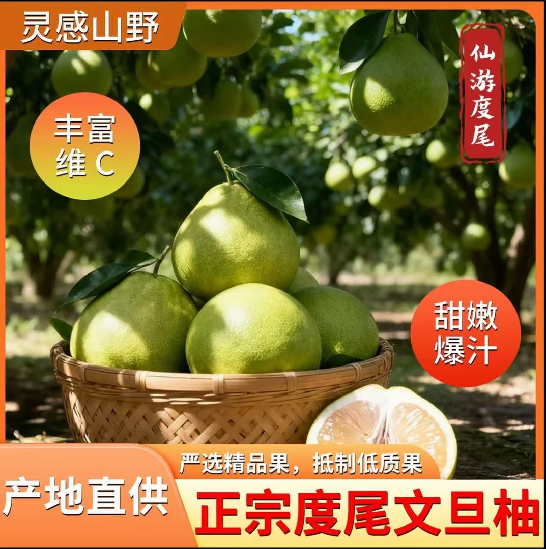 福建仙游度尾文旦柚正宗老树柚子孕妇时令新鲜水果新鲜采摘汁水多