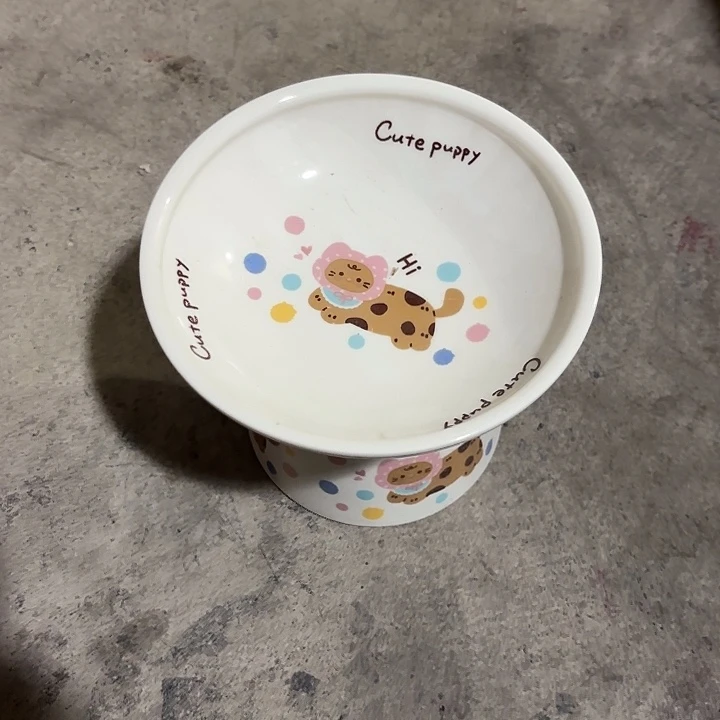 瓷片陶瓷旁边小猫陶瓷