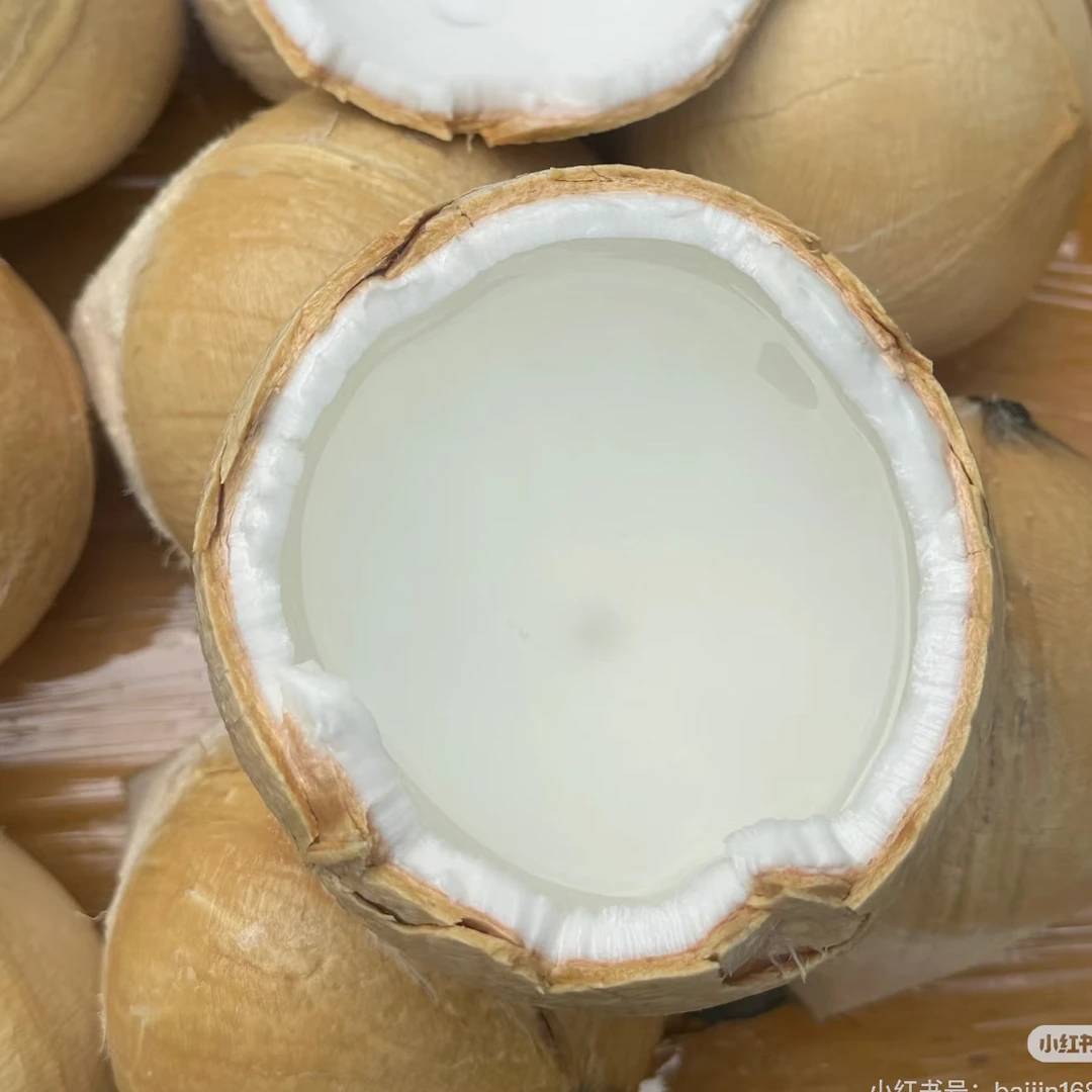 大号佳农椰皇超甜椰一个