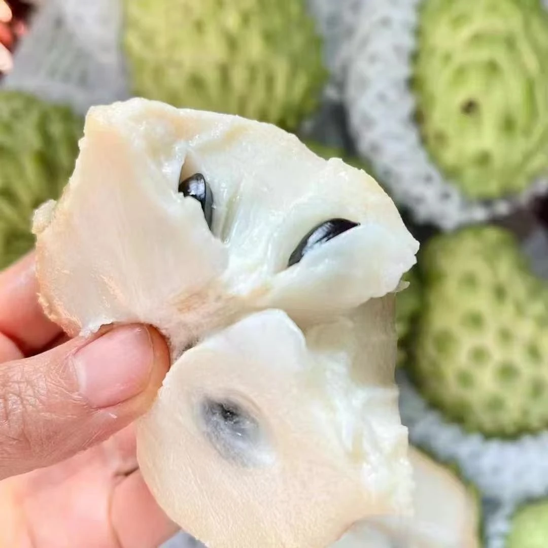云南牛奶凤梨释迦果【空运到家】应季枝番荔枝微花大果新鲜水果