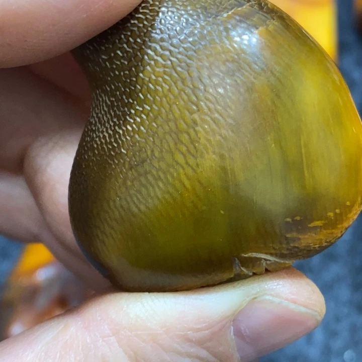 滴血莲花菩提吊坠