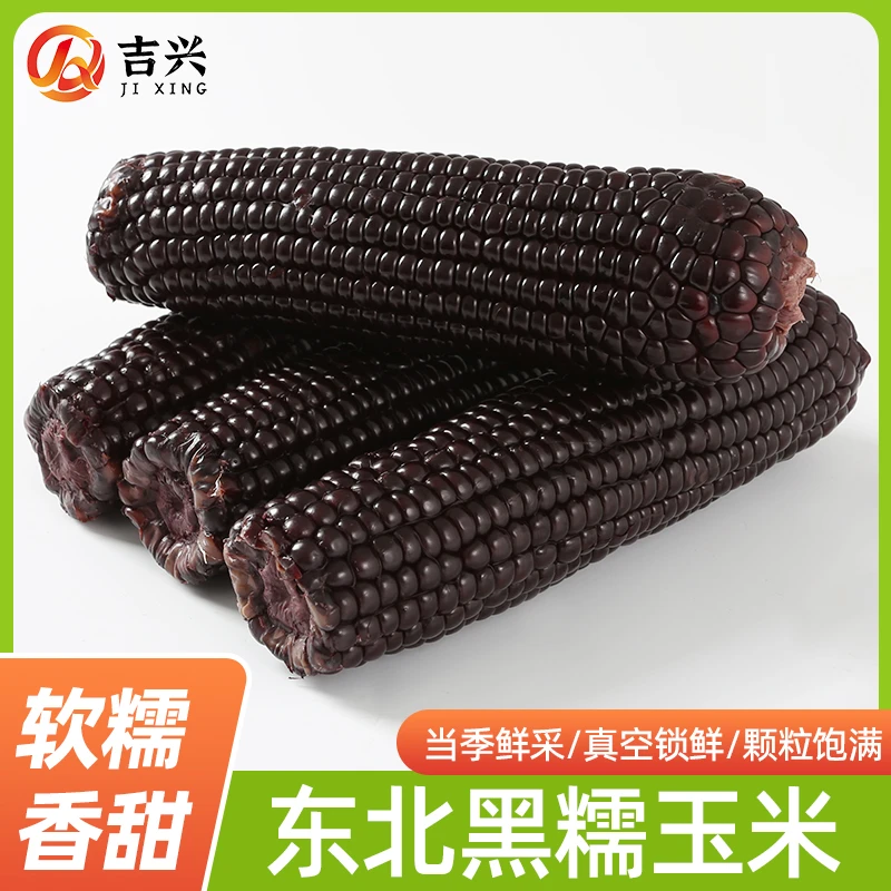 【试吃4支】精选东北黑糯玉米营养花青素拍10送4支到手14支7斤-8斤