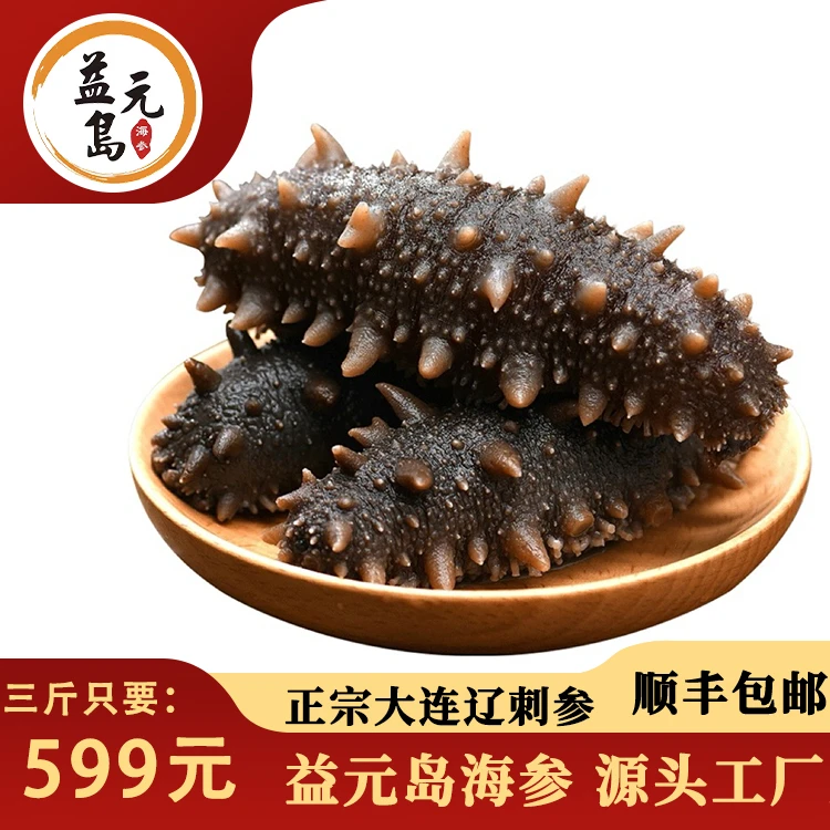 益元岛鲜食海参【4-6头9A大参王】大连辽刺参送参鲍汁试吃1根