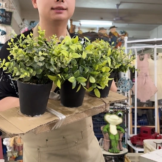 核桃木/黑胡桃（胡桃木）