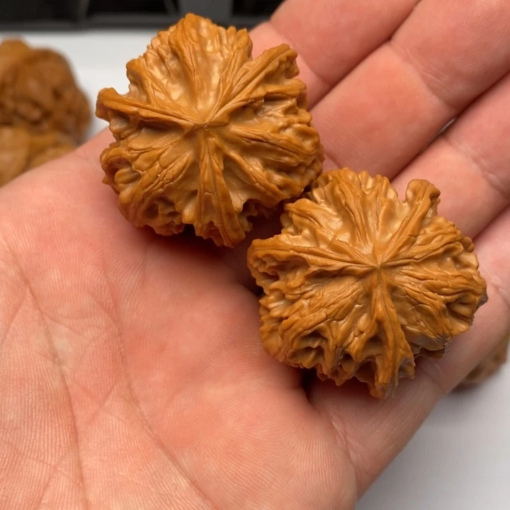 对***！888888888888888855