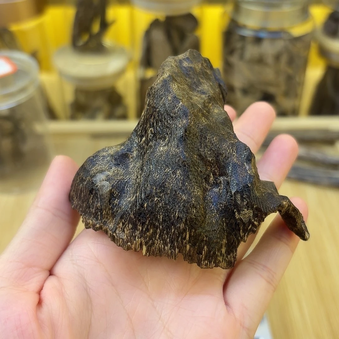 海南黑油老顶铁头13.4克