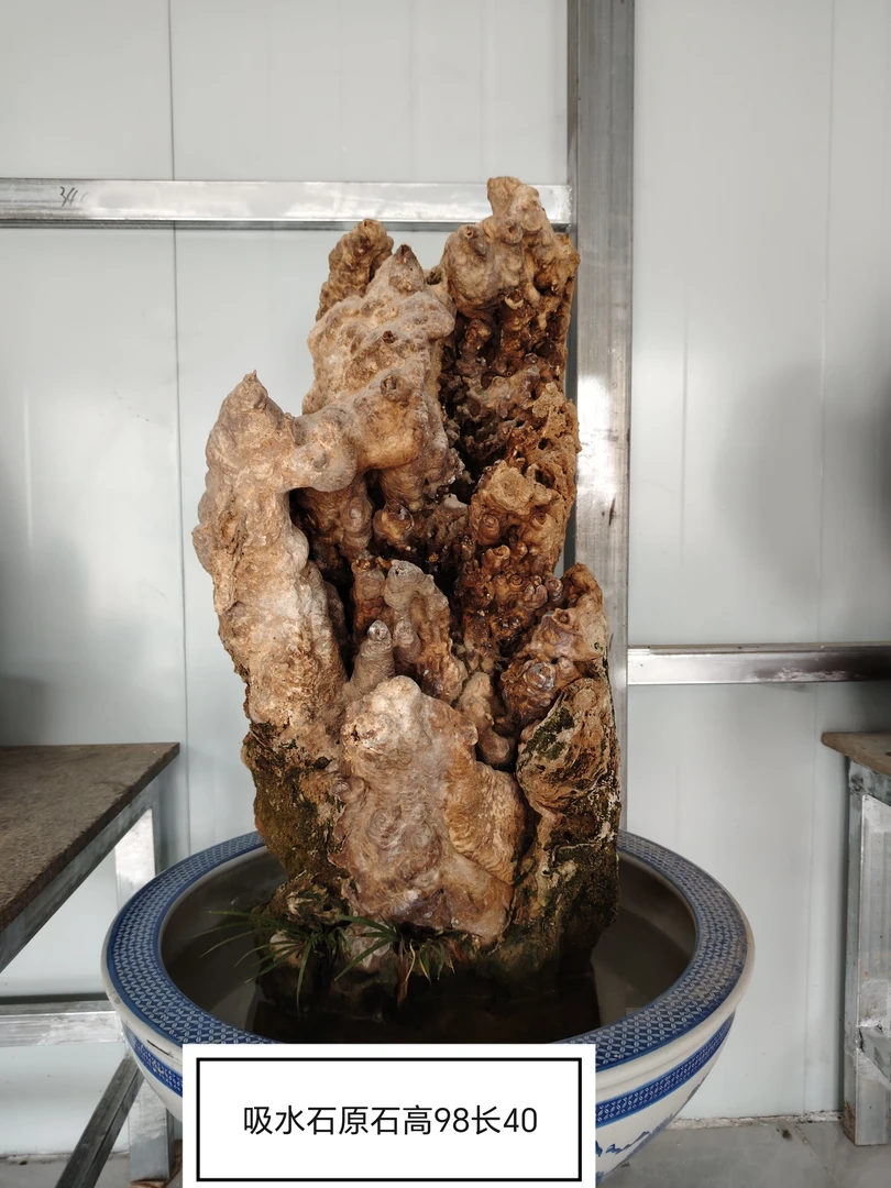 吸水石为家居增添别样风情