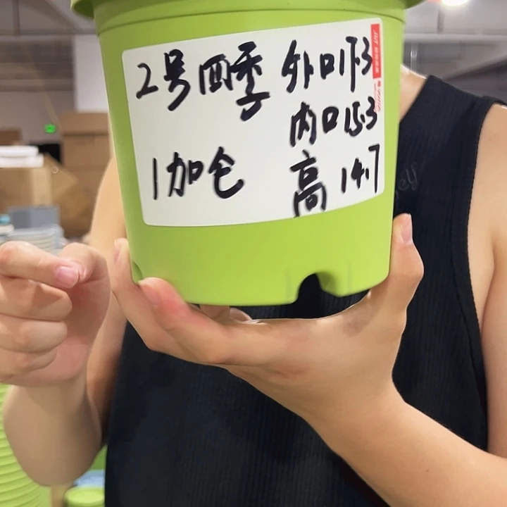 特价2号四季10只无托米色