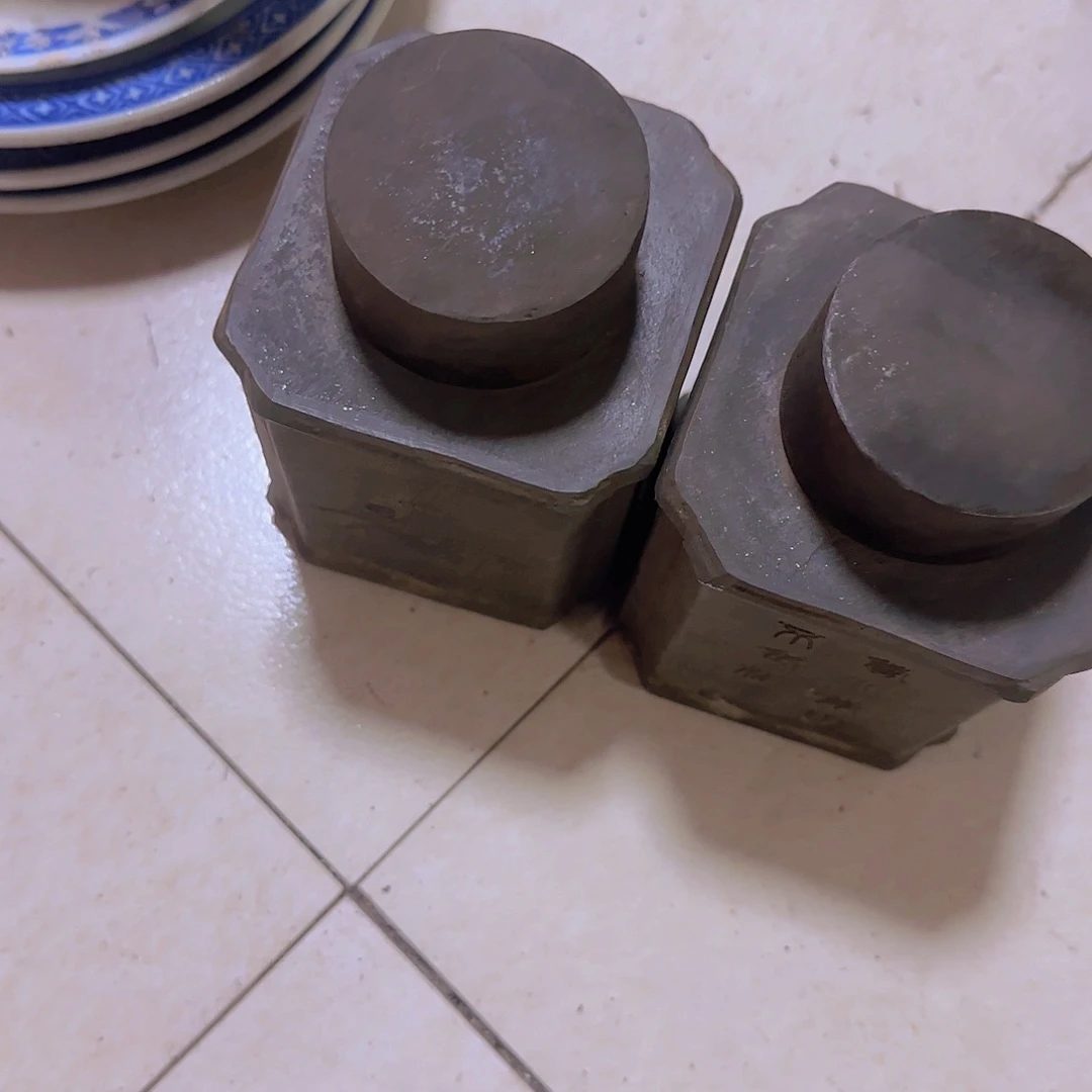 香榧木苗*摆件198