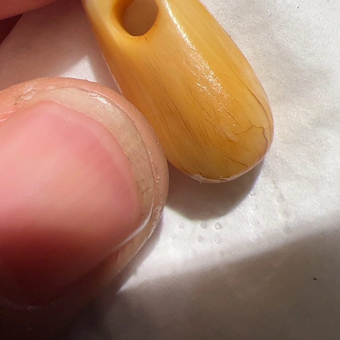 香榧木在这里的时候