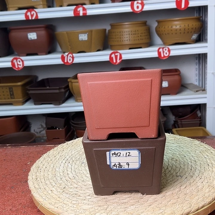 紫砂花盆蛇年大吉