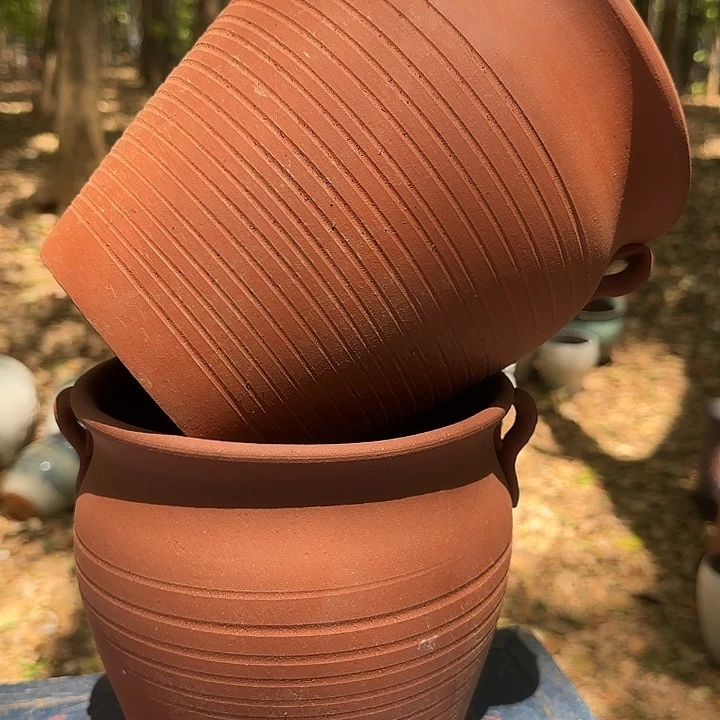 完全开放紫砂花盆高 21口19