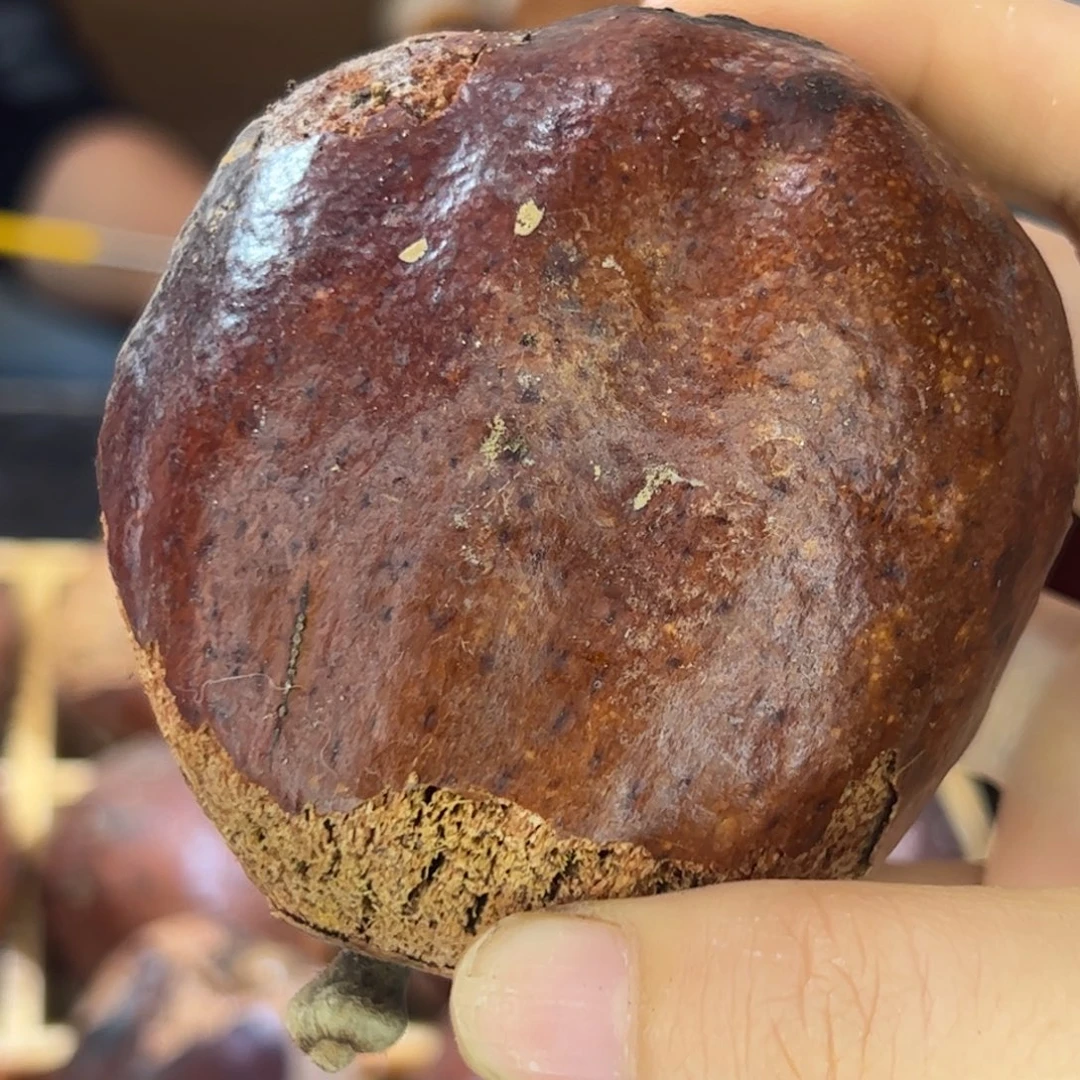 千眼菩提吊坠大果王