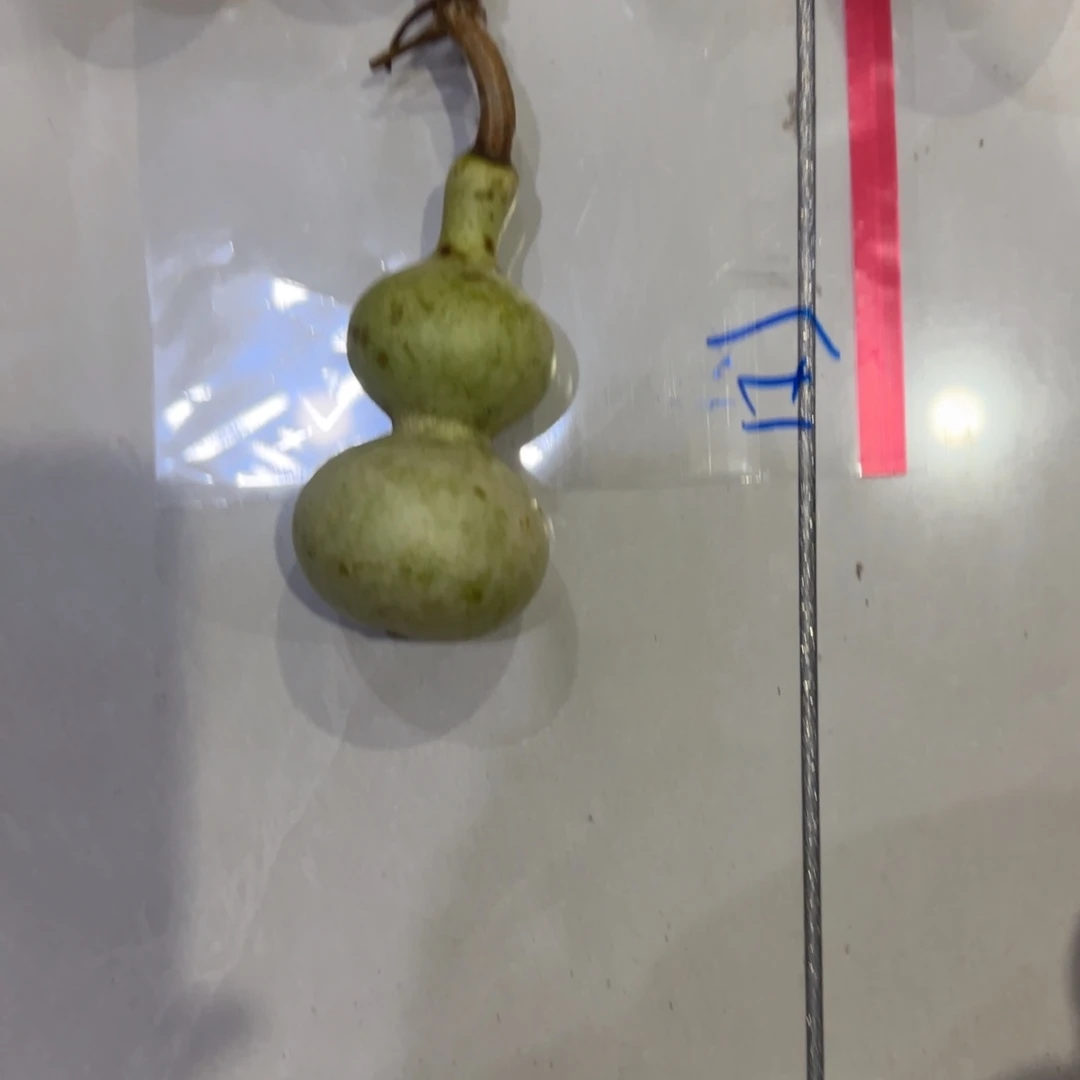 暴***族青皮不包成：这两条裙子就算完