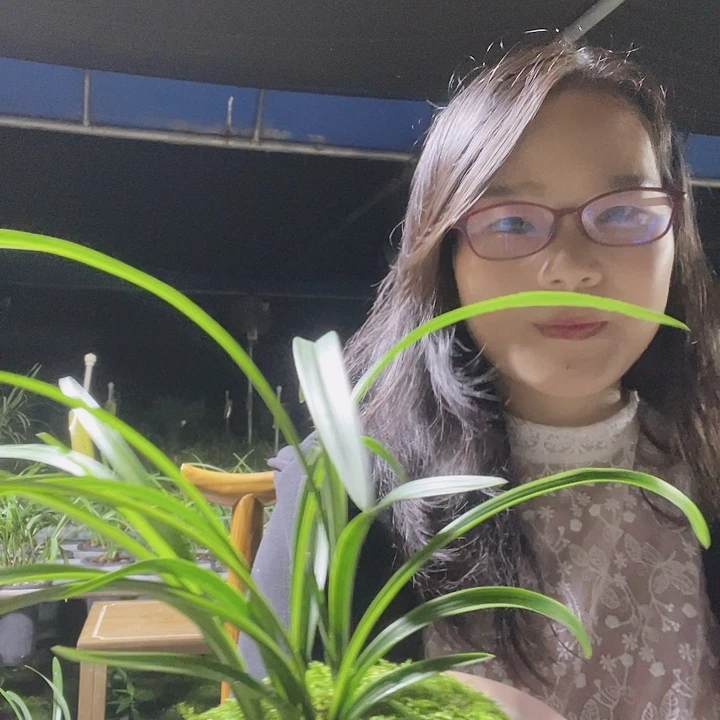 当前无花栽培后可以开花大富贵