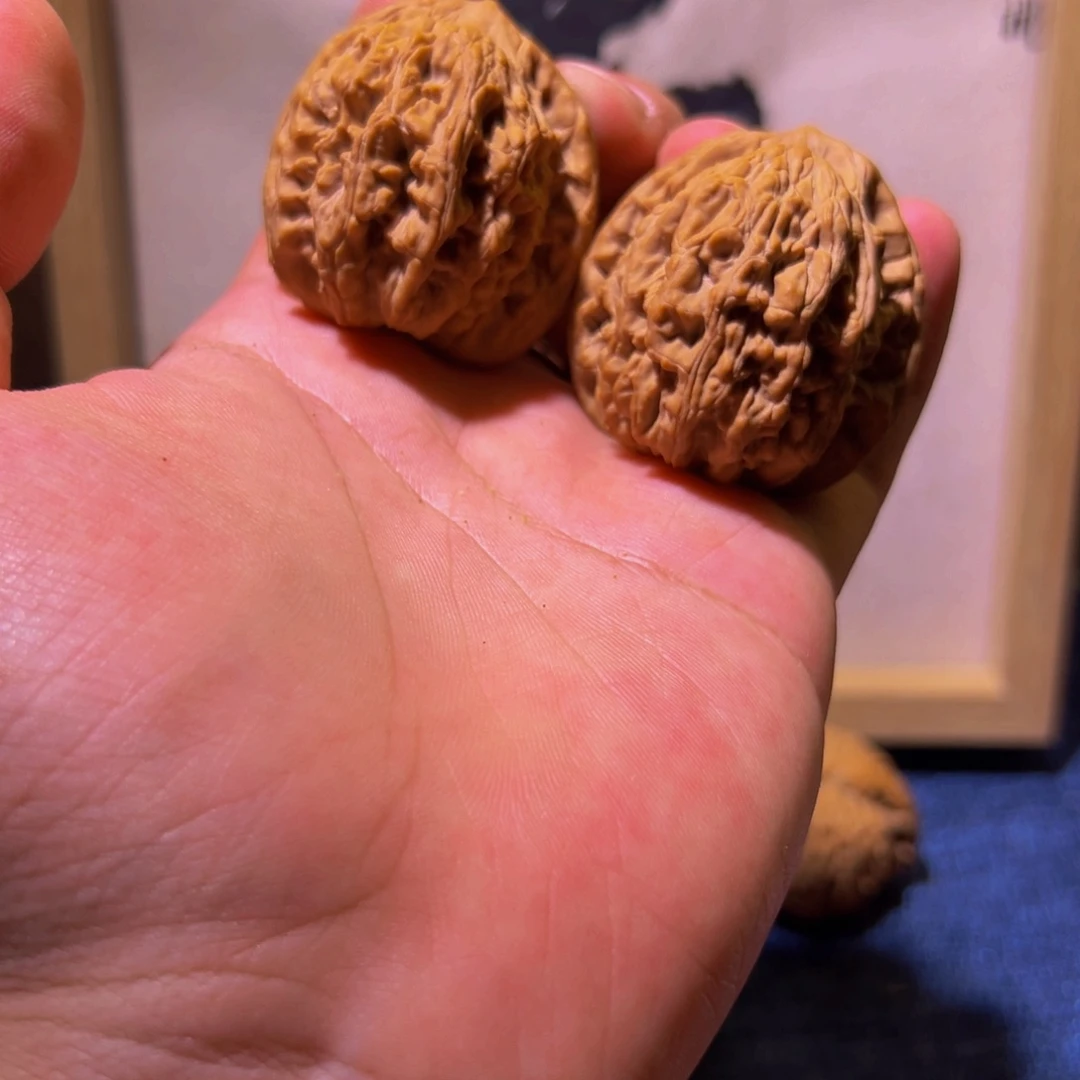 41➕全品虎头一对，福利