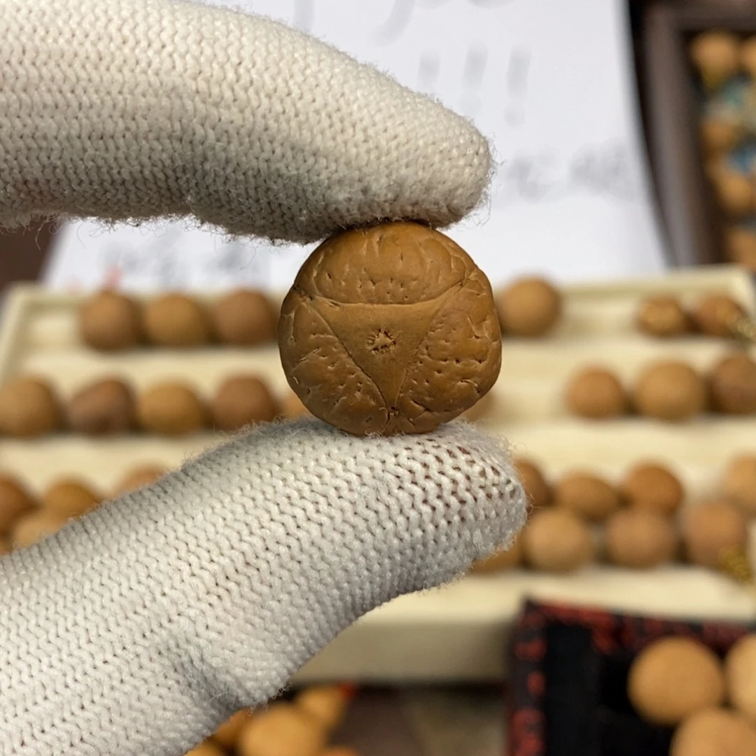 凤眼菩提吊坠18.5龙眼单颗