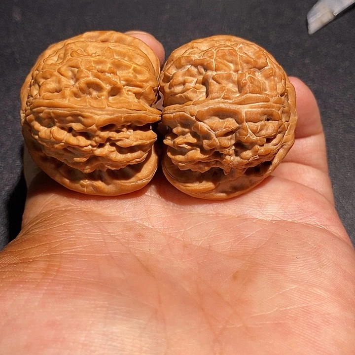 手串/手链核桃40白狮子