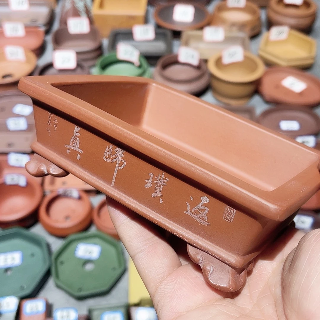 紫砂小盆11*9*3cmmm