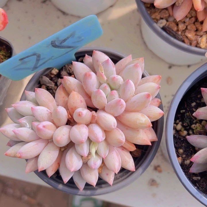 健健康康平平安安