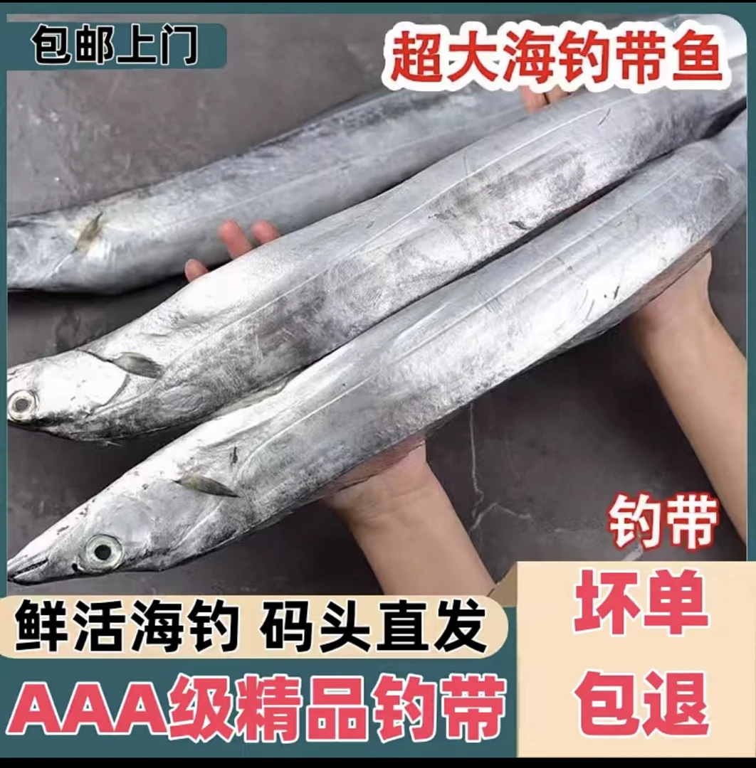 4斤以上【精品钓带】渤海湾小眼油带刀鱼 码头直发 顺丰包邮无冰衣