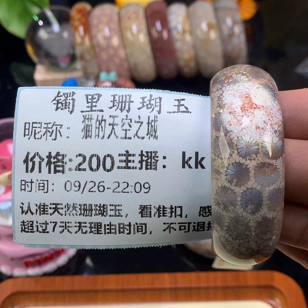 【闪购商品】颈饰未镶嵌硅化珊瑚（珊瑚玉）猫****城