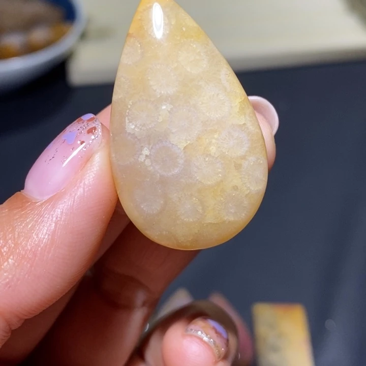 【闪购商品】未镶嵌珊瑚玉硅化玉