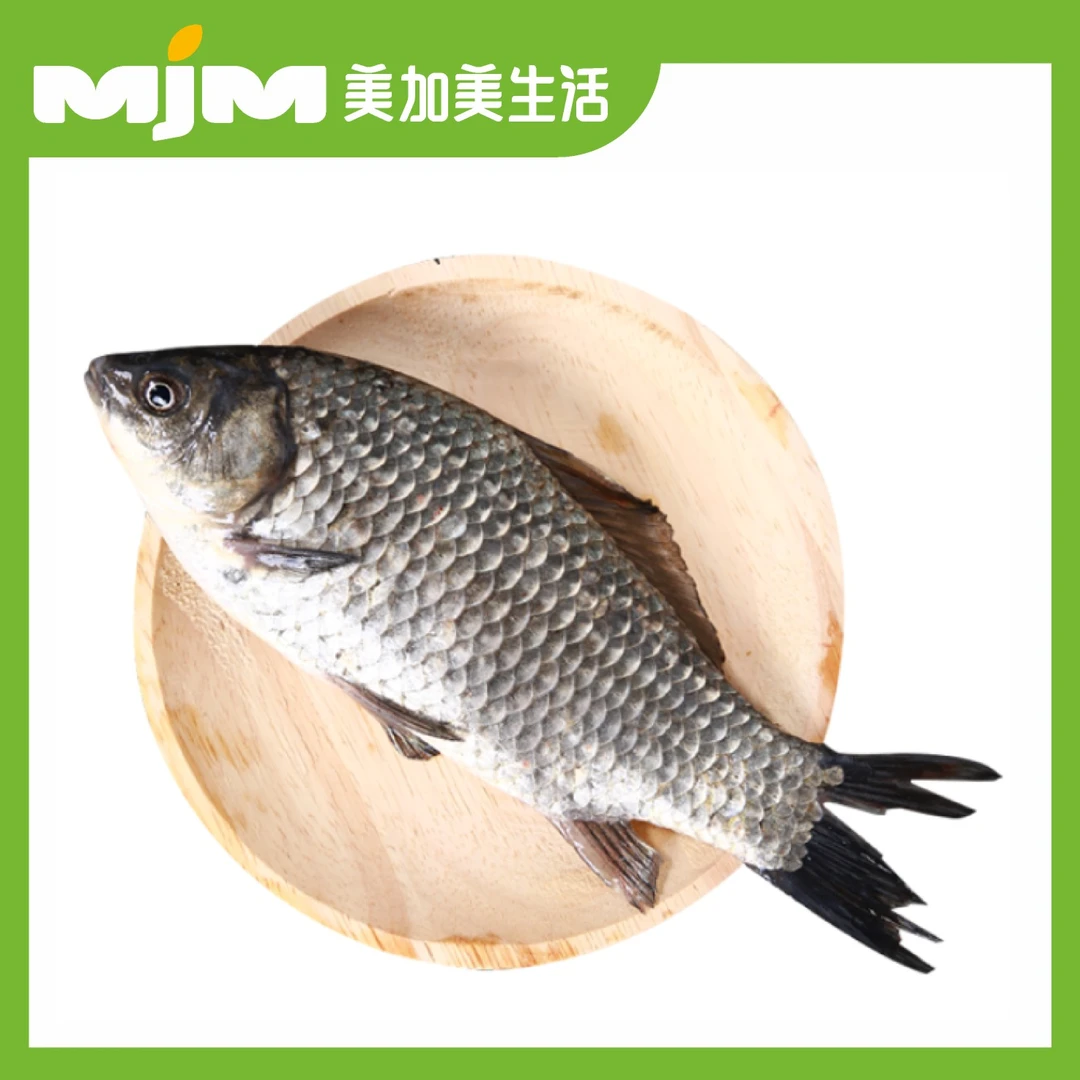 【1斤±50g】返野生鲫鱼