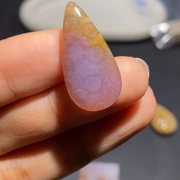 【闪购商品】未镶嵌珊瑚玉硅化玉