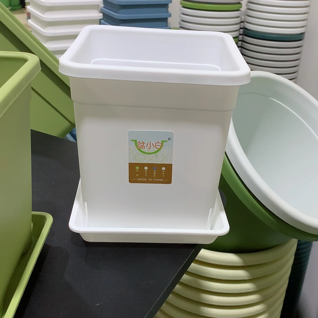 方口16白5个带托