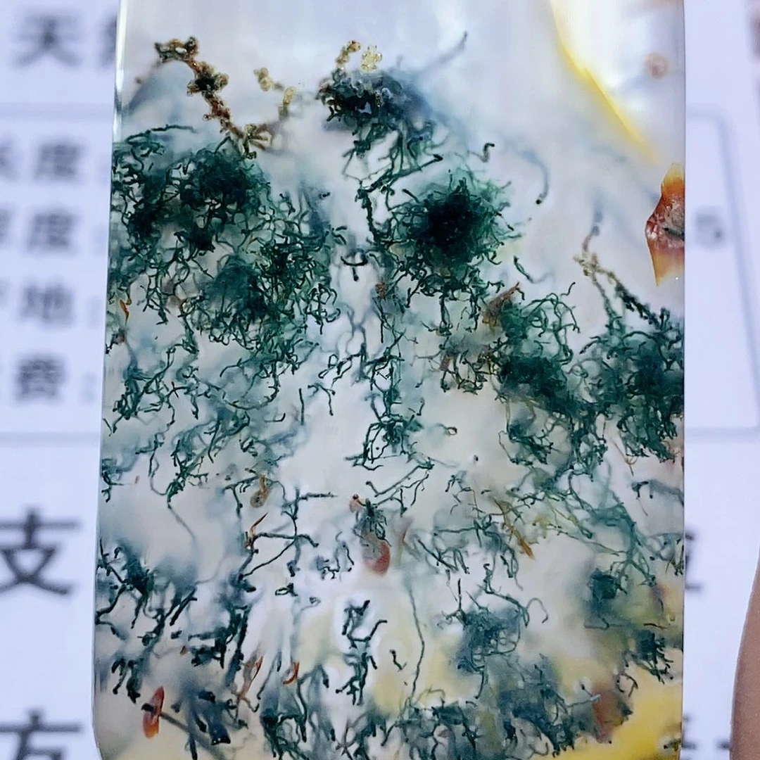 未镶嵌玛瑙/玉髓珠宝奇石槐12