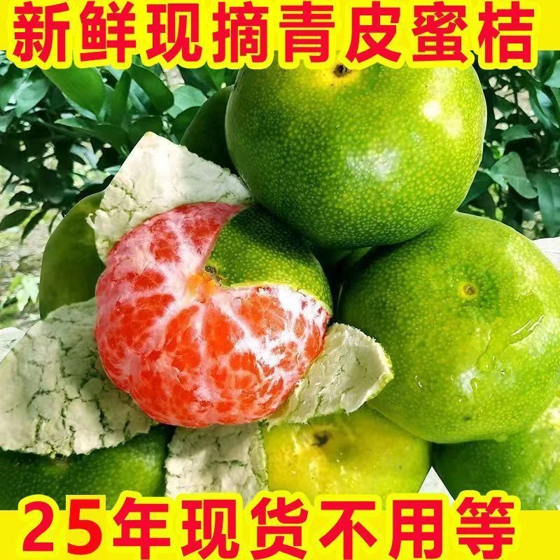 无籽青皮蜜橘宜昌蜜桔酸甜爽口薄皮多汁新鲜应季水果现摘