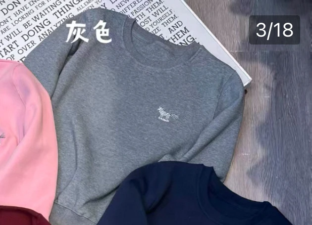 【肉总】加绒 刺绣小马长袖卫衣