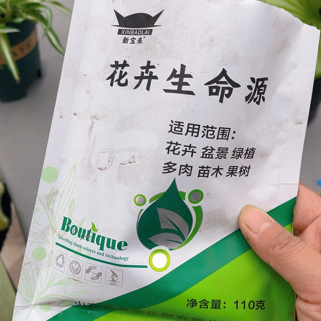 完全开放生命之源