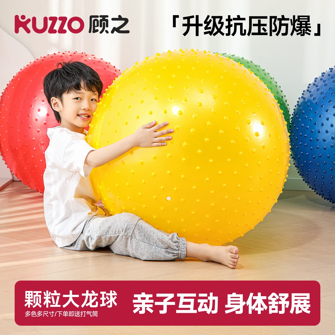 顾之儿童体能运动感统训练器材家用室内大龙球前庭失调平衡
