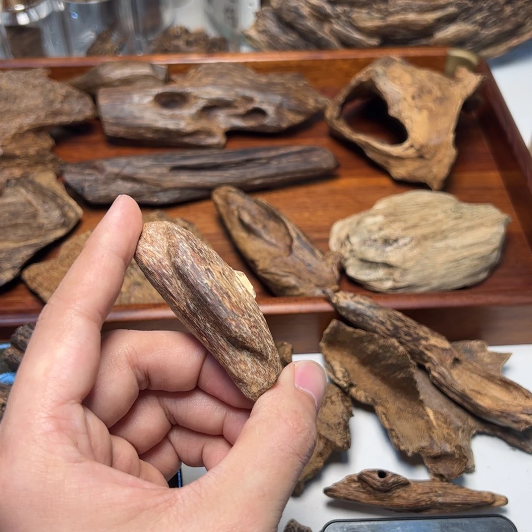 木黒*驼海南瓜子料5.7克