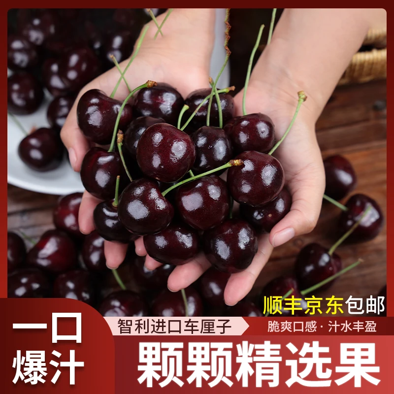 【到手一箱】1斤海运车厘子J级脆甜多汁新鲜现发内附果径卡