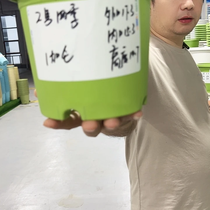 特价2号四季口17高14混色10个无托