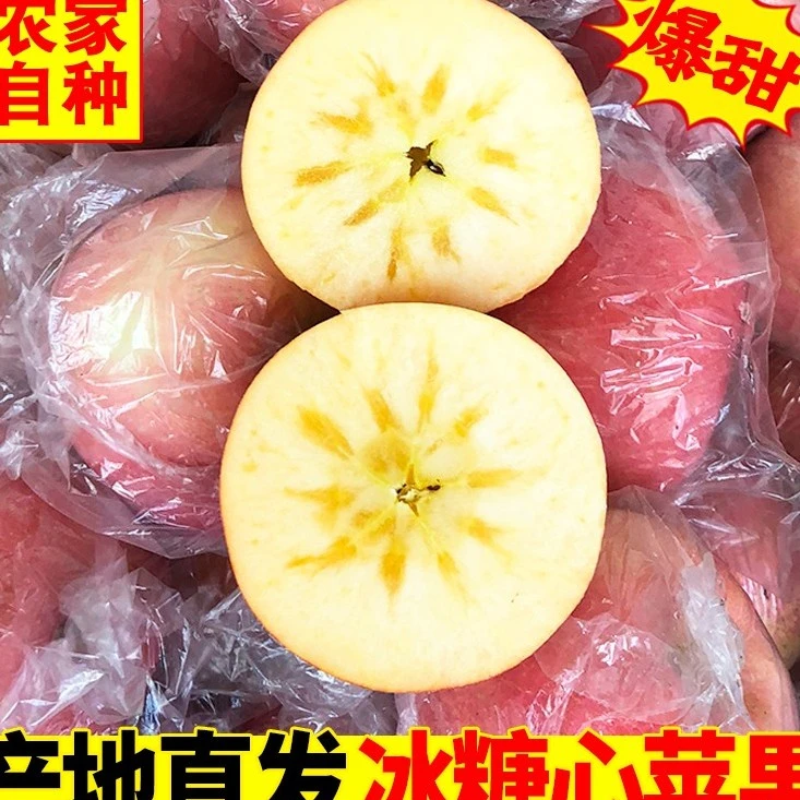 2025山西运城膜袋丑苹果冰糖心苹果产地直发新鲜应季水果脆甜多汁