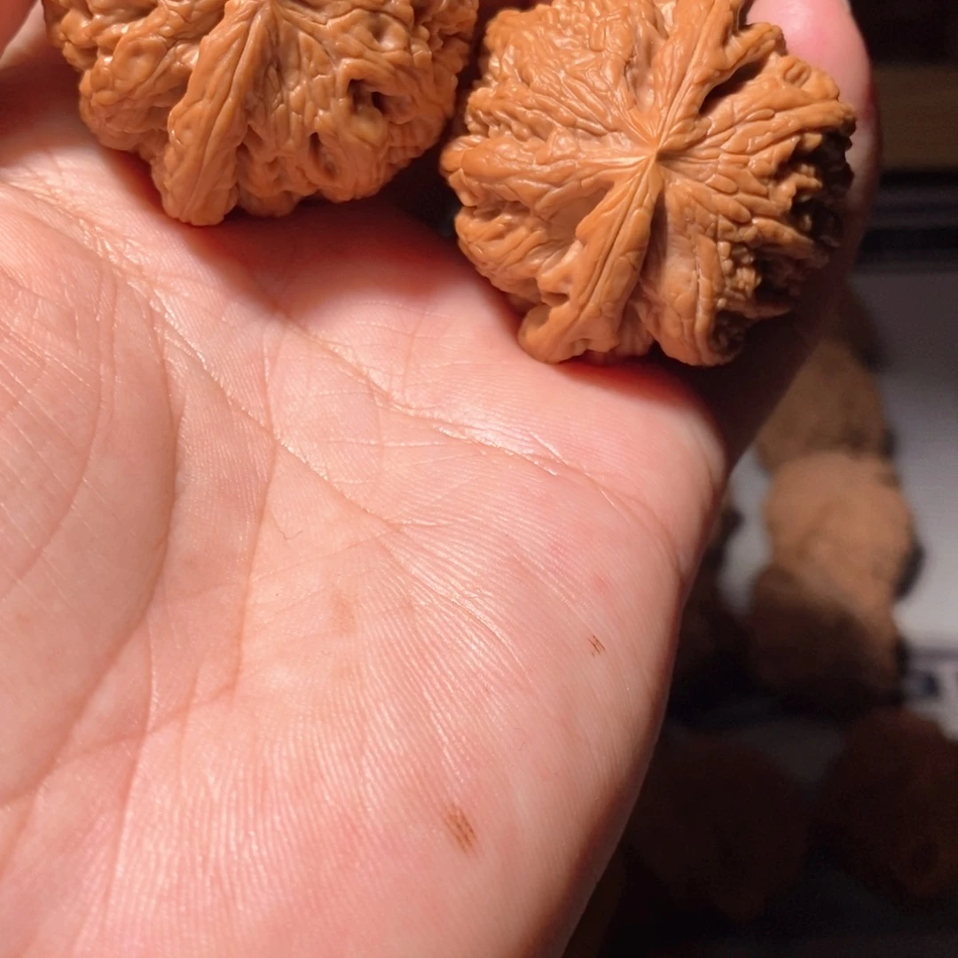 文玩核桃把件016粗筋41微修