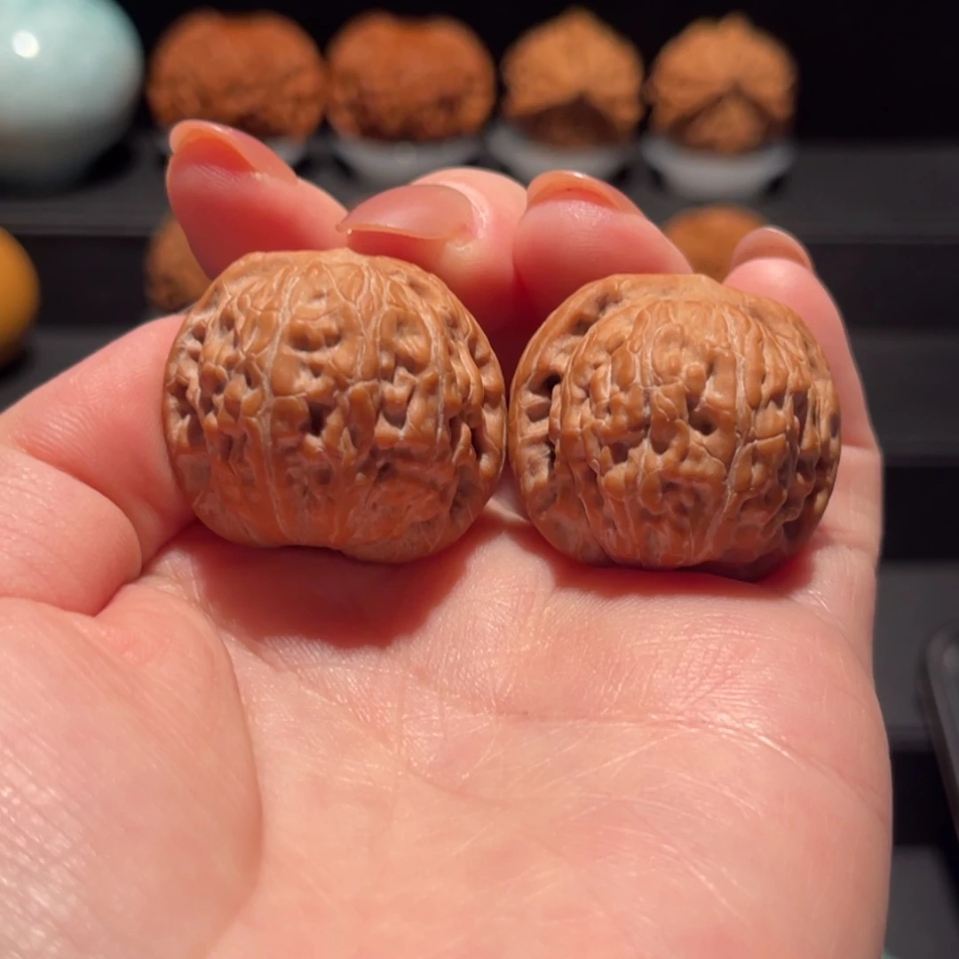 野生，小莲花31精品，全品