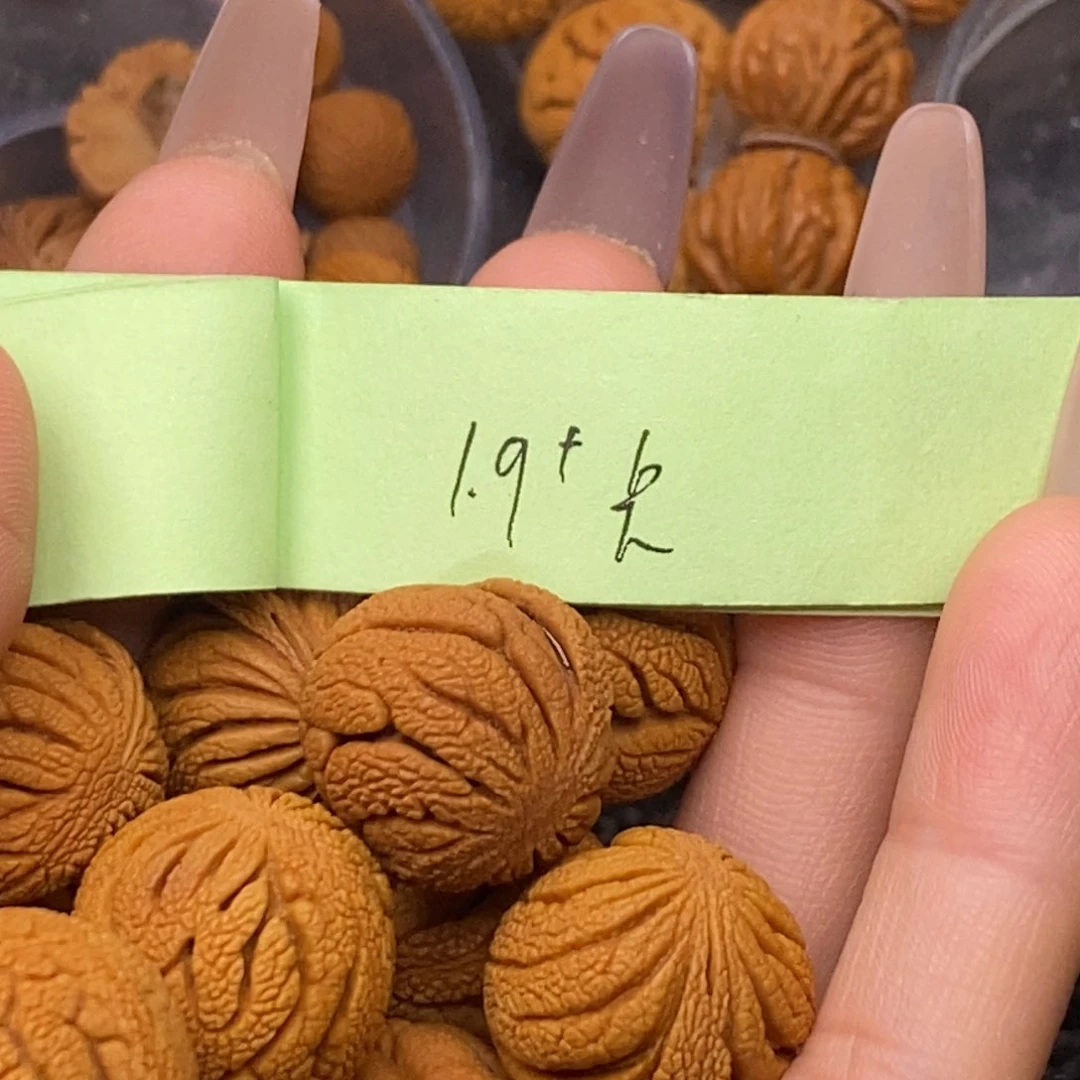 秦岭山脉龙纹桃核 14