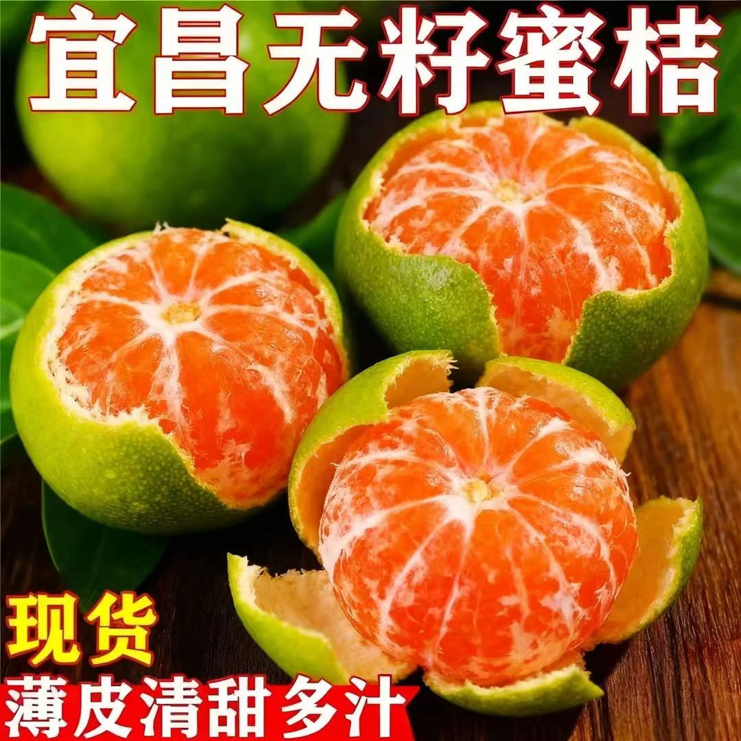 宜昌青皮蜜桔无籽酸甜多汁当季现摘青皮橘子新鲜薄皮橘子孕妇水果