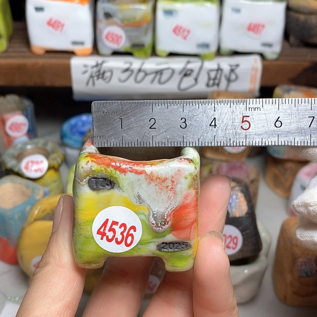 红陶拍5送一个小